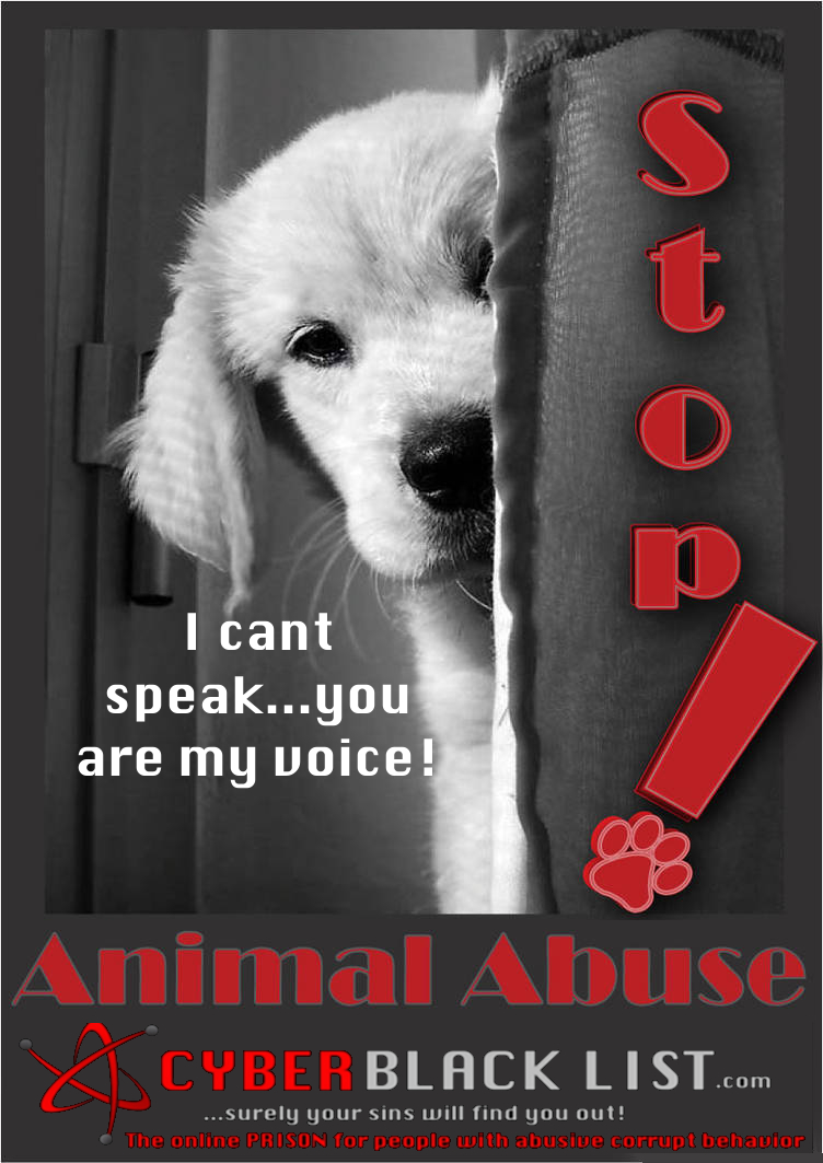 Animalabuse